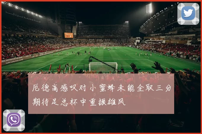 厄德高感叹对小蜜蜂未能全取三分期待足总杯中重振雄风