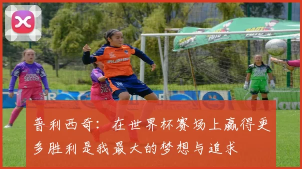 普利西奇：在世界杯赛场上赢得更多胜利是我最大的梦想与追求