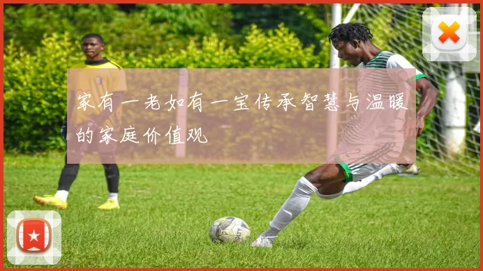 家有一老如有一宝传承智慧与温暖的家庭价值观
